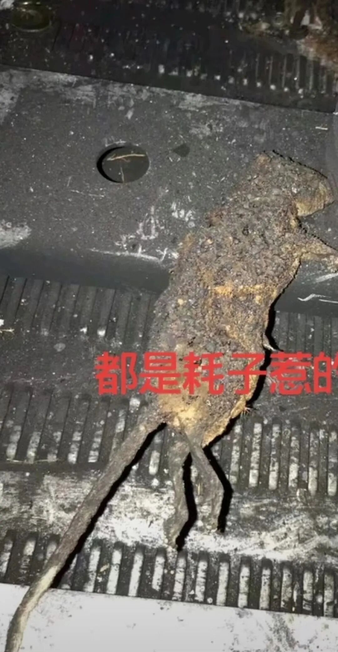 两起开关柜故障案例分析及防范措施的图6