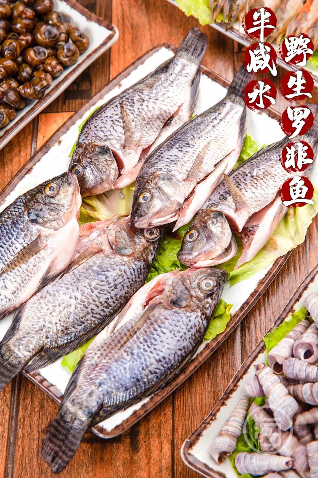 9元吃糟粕醋大餐!基围虾 半咸水罗非鱼 长嘴螺! – 青牛百科