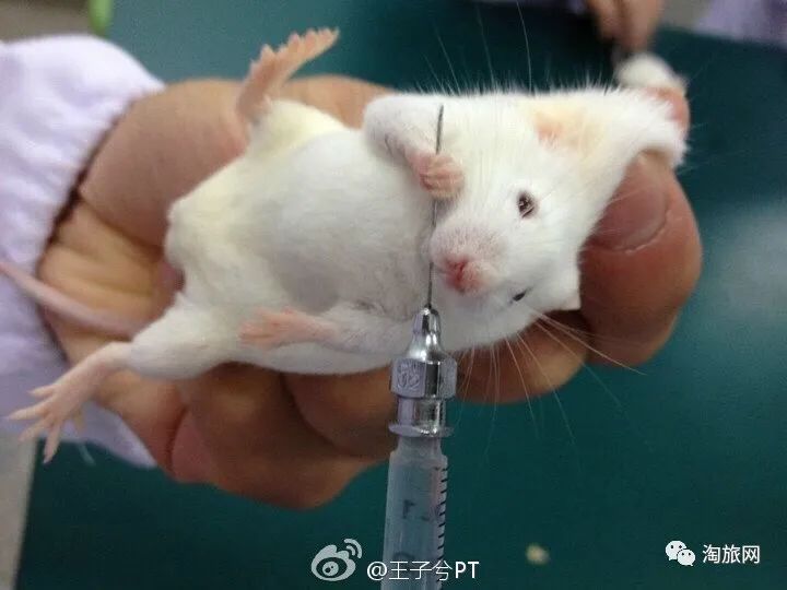 巫师3致命阴谋_致命阴谋巨魔_阴谋致命巫师在线阅读