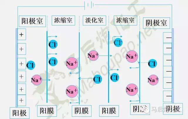 膜分离技术...的图13