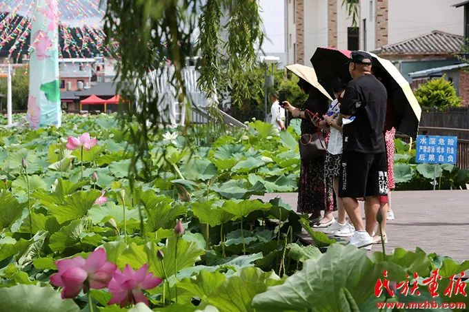 姚安光禄古镇:民族团结交往交流交融之地 未分类 第5张-民族画报 图片