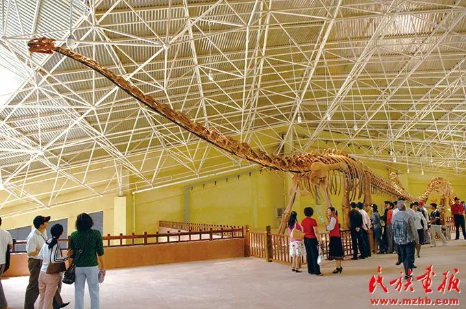 禄丰世界恐龙谷:等你两亿年,相聚恐龙谷 未分类 第2张-民族画报 图片