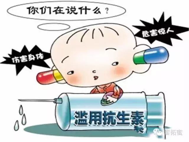 中国灸-儿童灸：不要让抗生素掏空你孩子的身体