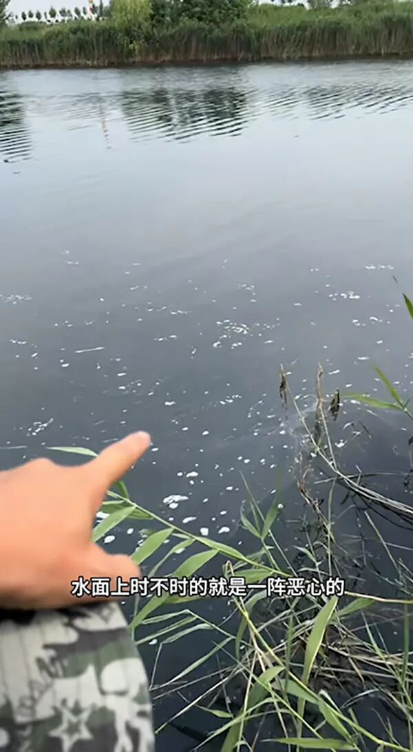 “鱼猎齐哥”视频截图