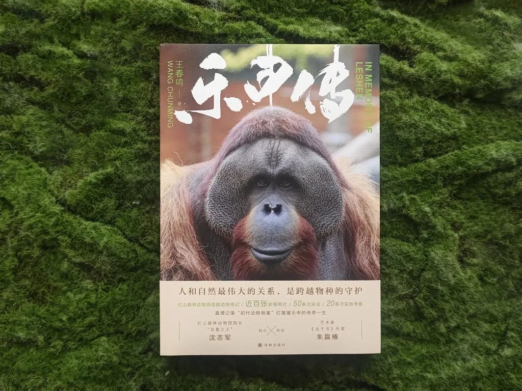 乐申想返回的，不是空间上的故土，而是时间里的故乡