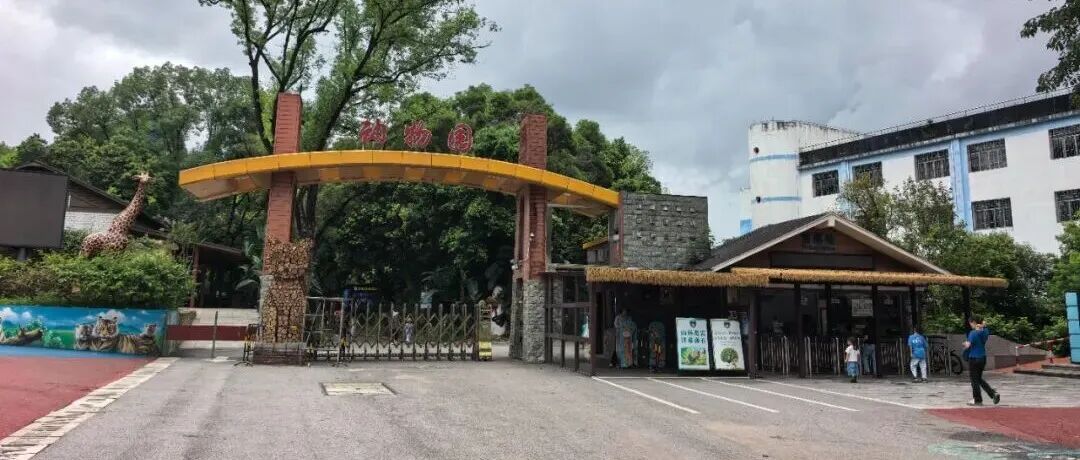 文章封面