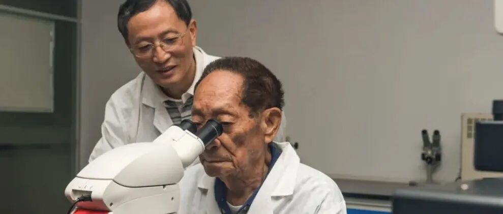 文章封面