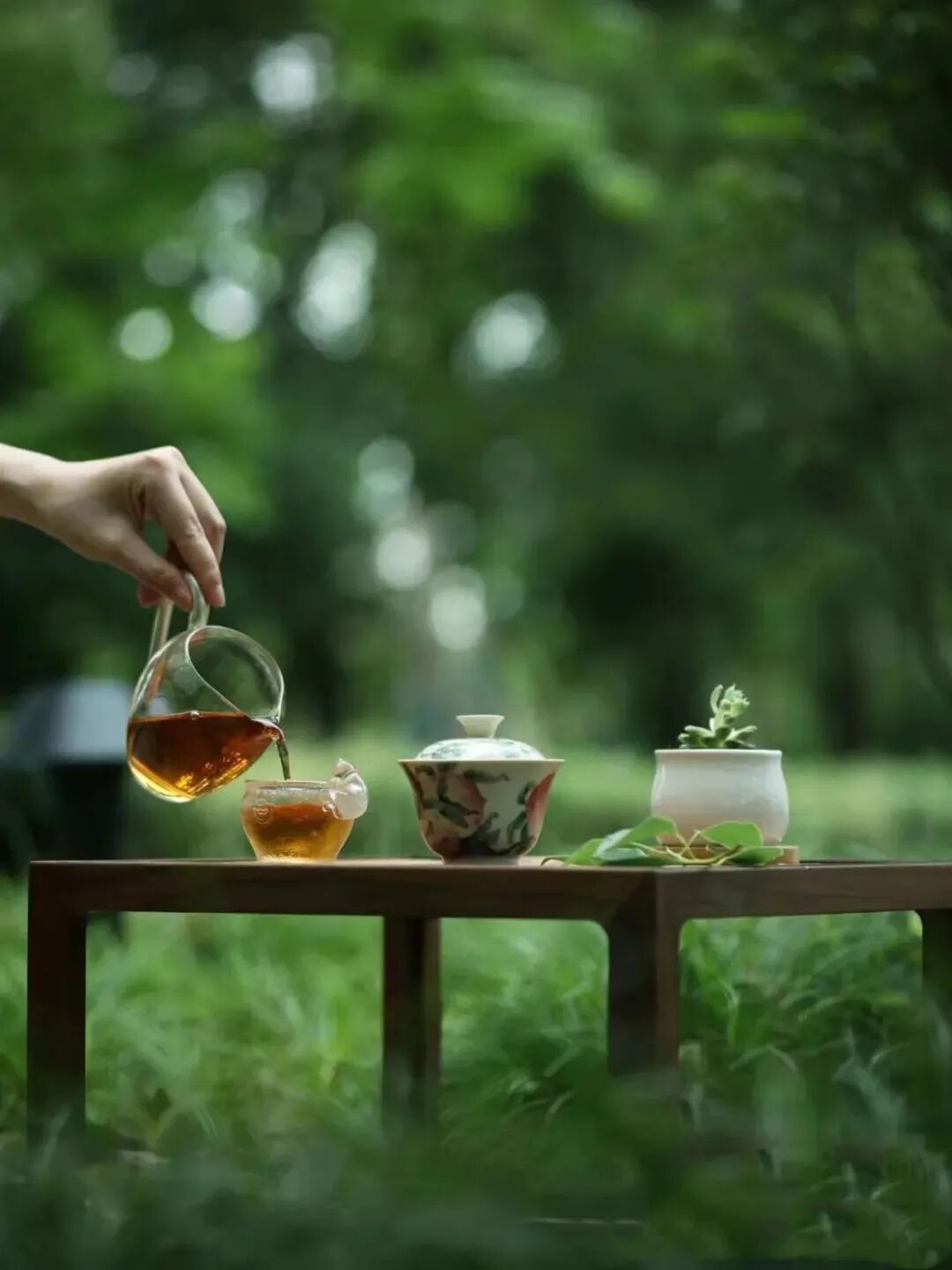 人间草木,茶语鲜香