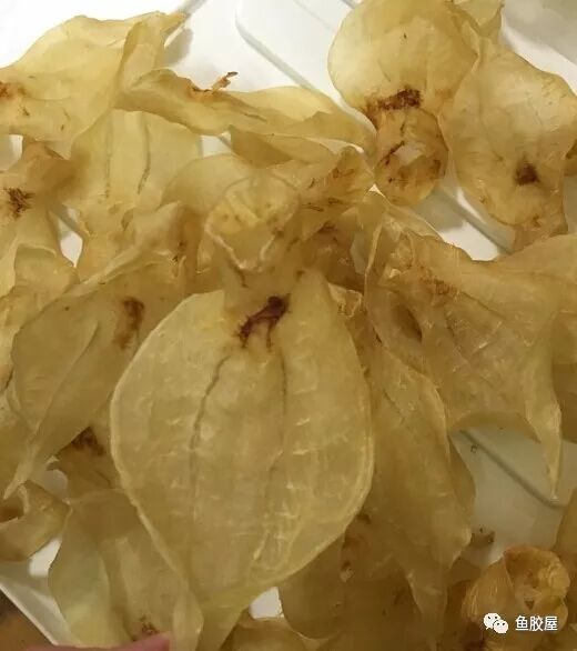 收集鱼胶花胶的种类大全值得收藏 鱼胶屋 微信公众号文章阅读 Wemp