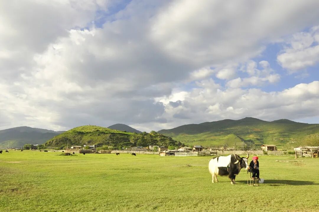 Shangri-La - Sacred monasteries and grasslands with snowy peaks