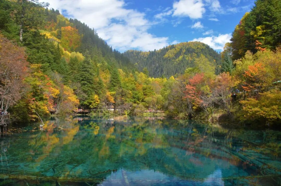Jiuzhaigou Scenery - Colorful lakes and snow-capped mountains