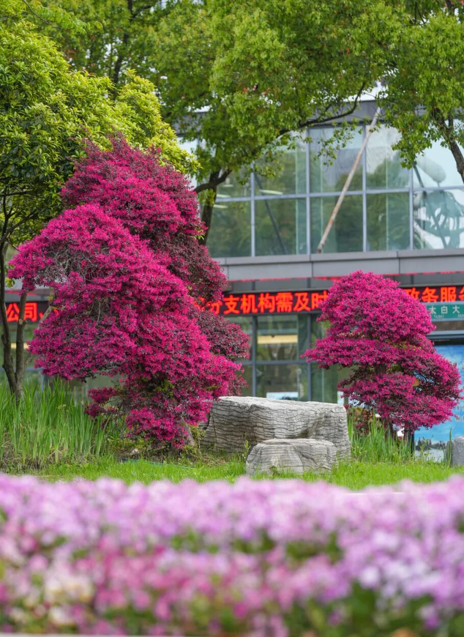 微信图片_20260408103004_15_186.jpg