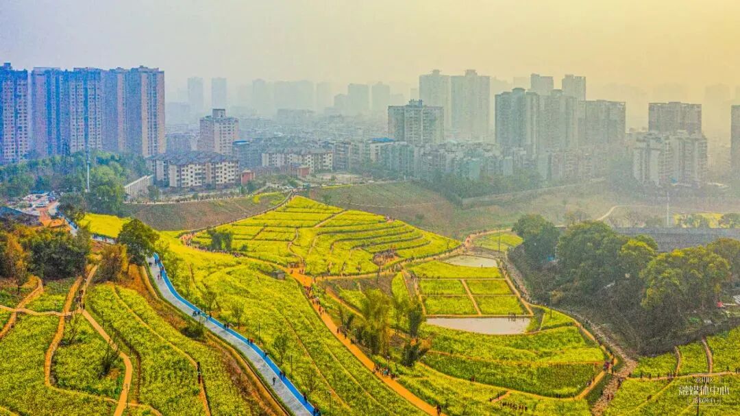 来永川过大年永川公园等你来