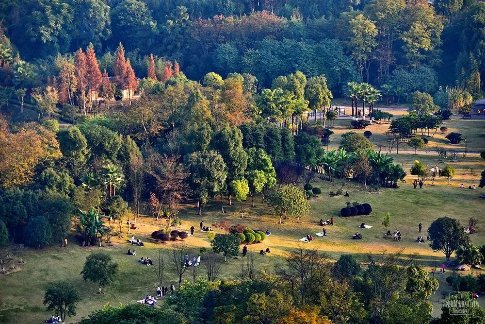 来永川过大年永川公园等你来