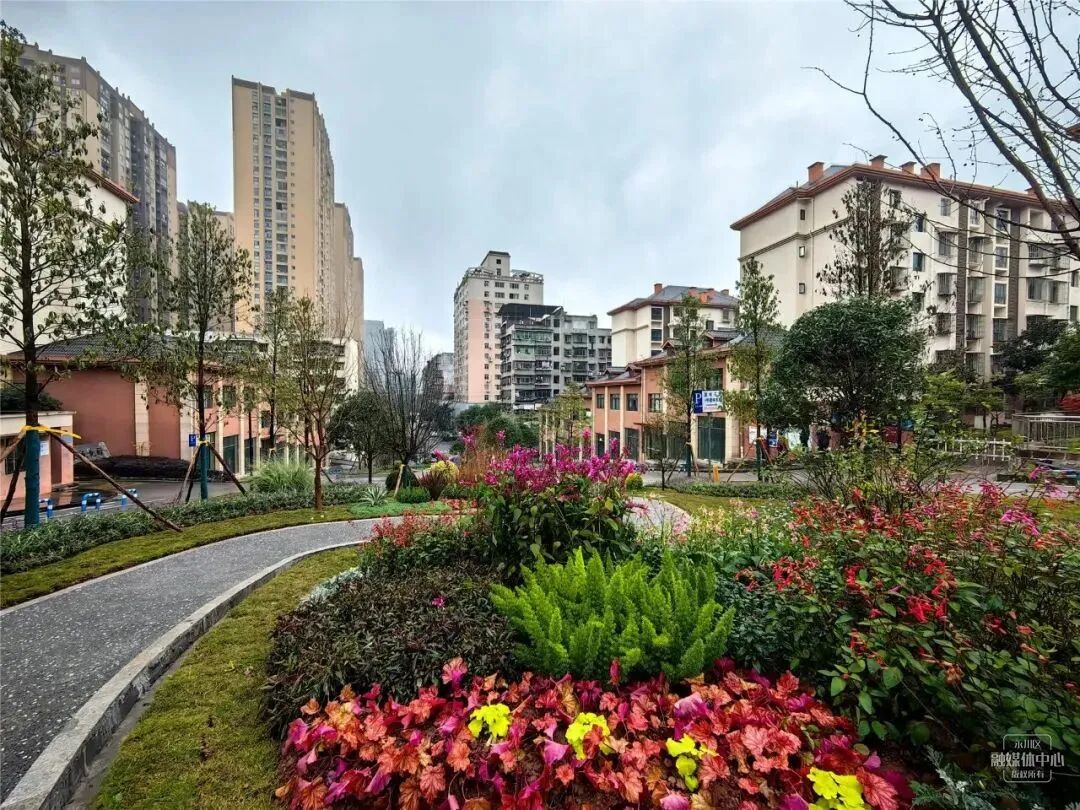 来永川过大年永川公园等你来