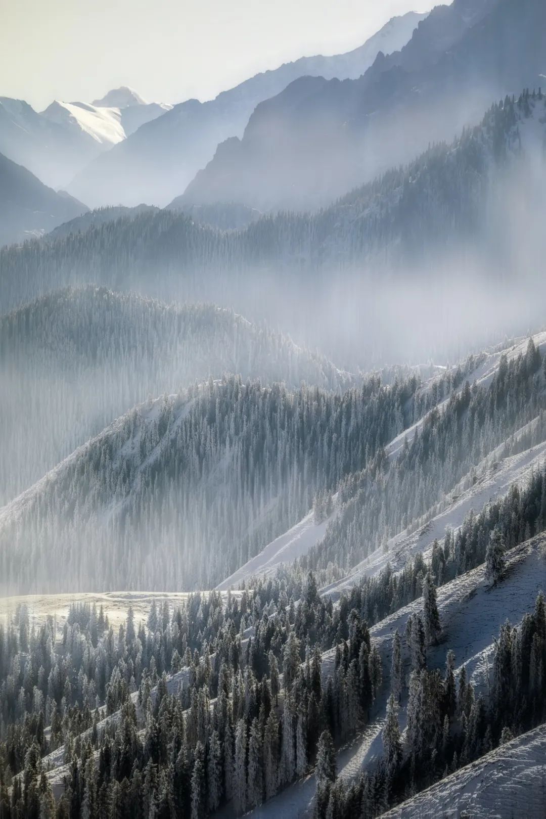雪景摄影大师作品图片