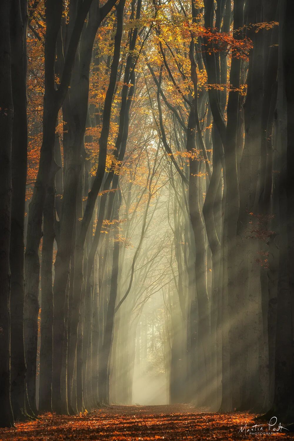 我利用道路来给图片增加景深以便与让观者有一种人在画中的感觉,这些