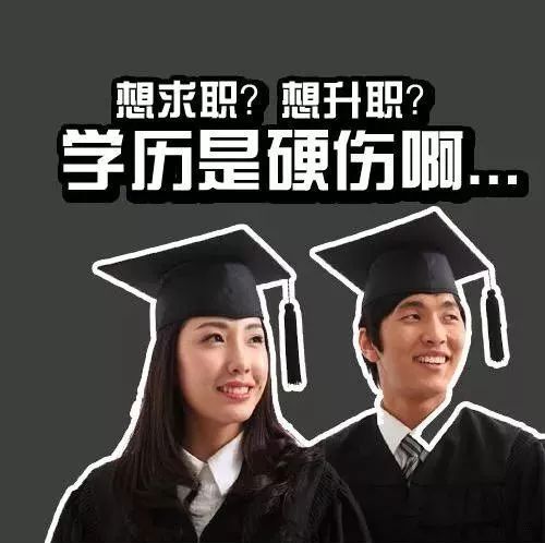 学历提升学历vs能力哪个重要