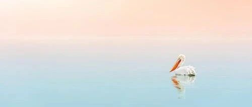 在市场的两大担忧中，寻找三大确定性的亮剑机会