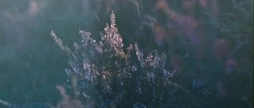 姜超：A股贵不贵，值不值得买？