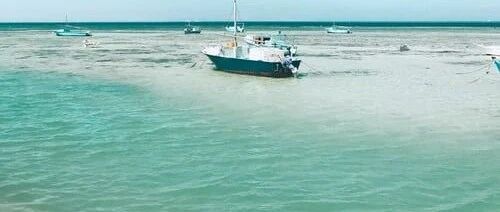 A股是全面牛市还是阶段躁动？