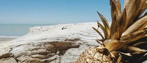 国产汽车新十年：“蔚来”已来，“理想”何在？