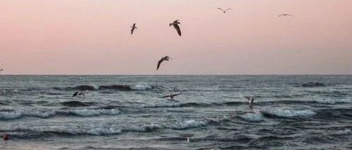 “股”舞人心——2021年中国股市展望