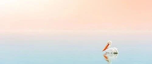 生物医药行业之医药零售篇——后疫情时代经营加速分化，新一轮并购与上市潮隐现