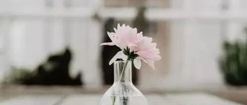 “久期”溢价：茅台为何贵，周期为啥便宜