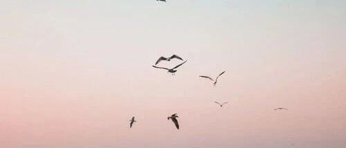 李迅雷：为何说今后投资机会主要在供给侧