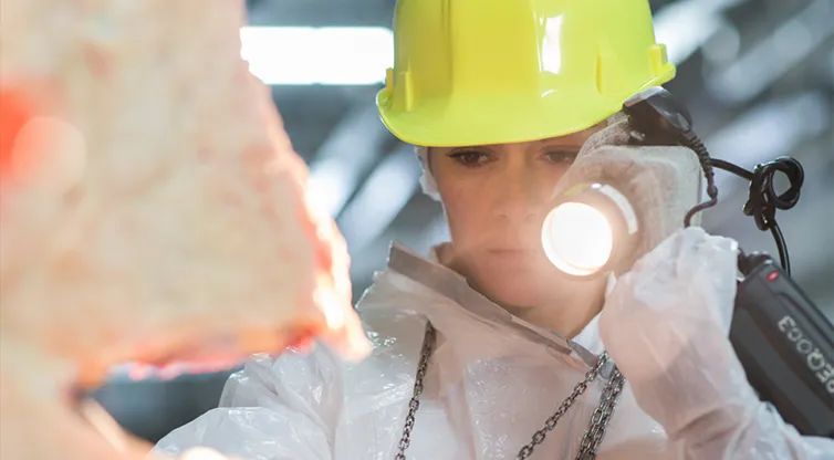 吃什么餐減肥_減肥餐_雞蛋餐減肥