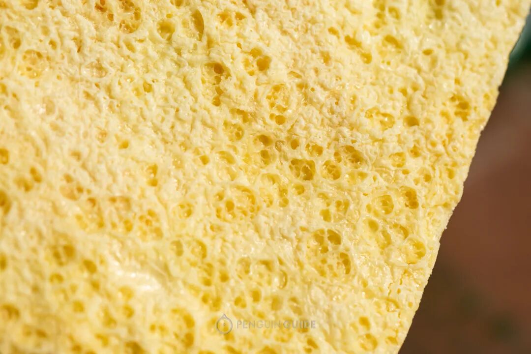 ���Ա����Ե����ɹţ��ں�һ����������㱩����