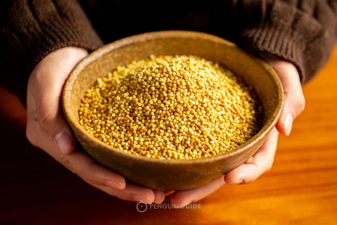 ���Ա����Ե����ɹţ��ں�һ����������㱩����