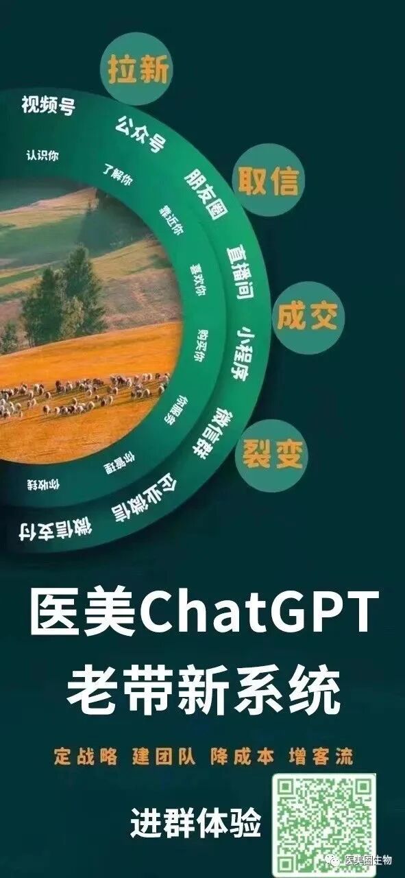 AI时代的隐私与安全挑战：在便利与保护之间求平衡