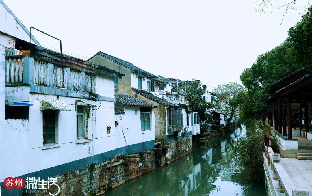 剪金橋巷，倷好！ 旅遊 第18張