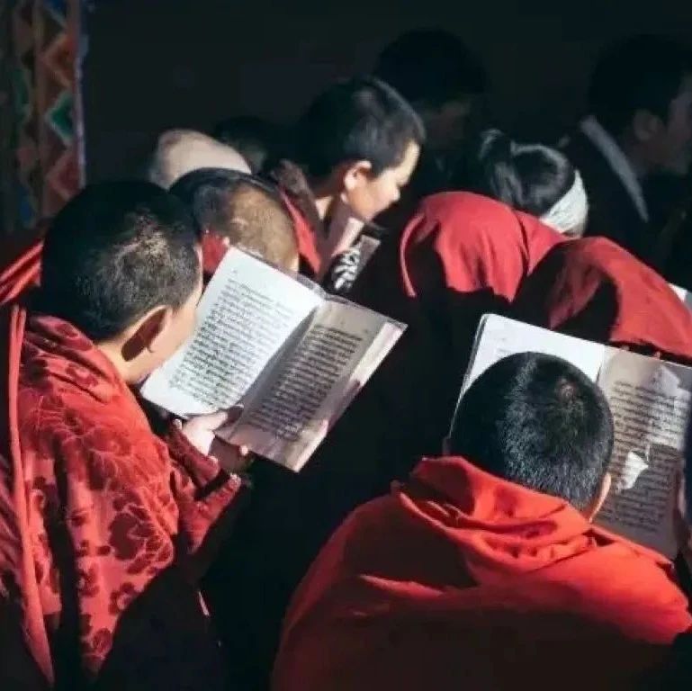 这样修、这样念，才是真正的专修专念！