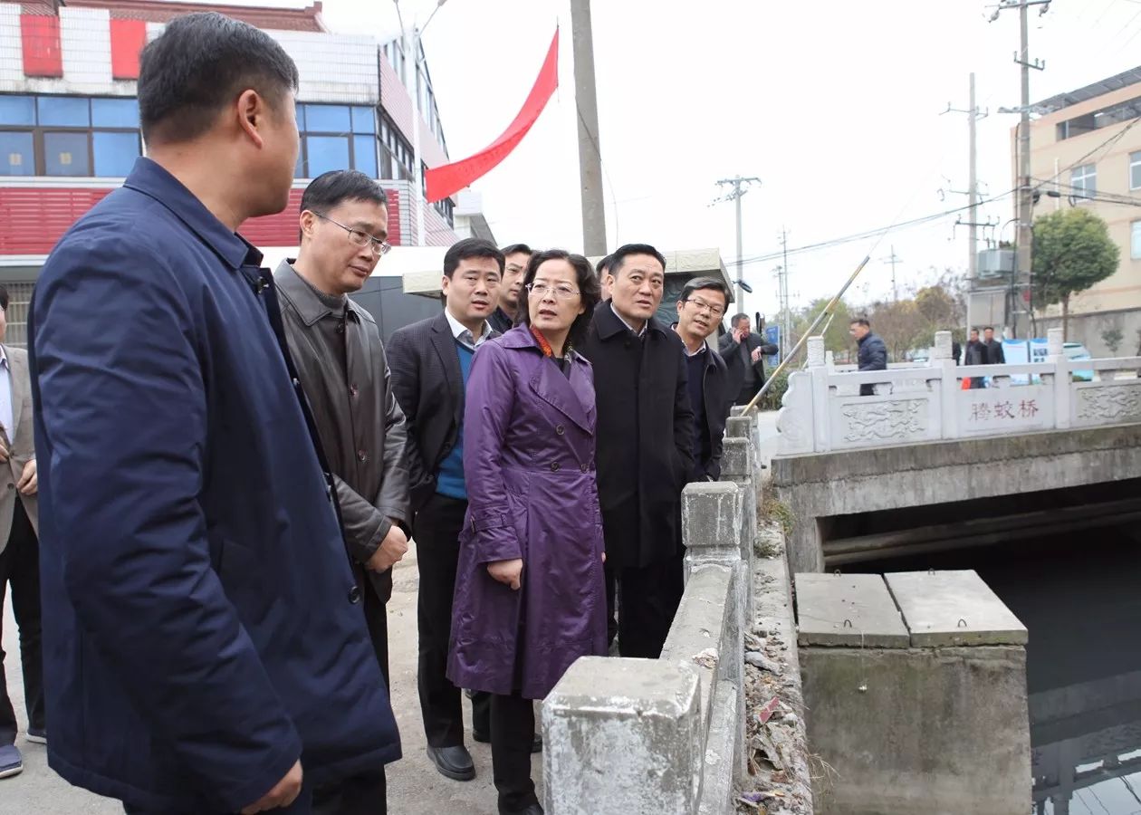 黑臭水體整治,雨汙分流,學校建設等是高港區重點民生項目, 顧萍在詳細