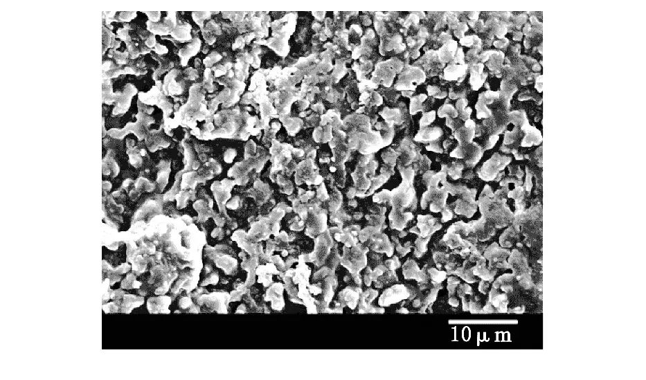 热塑性动态硫化橡胶的介绍及应用的图2