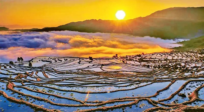 圖為紅河縣寶華鎮至甲寅鎮沿途楊柳梯田風光.