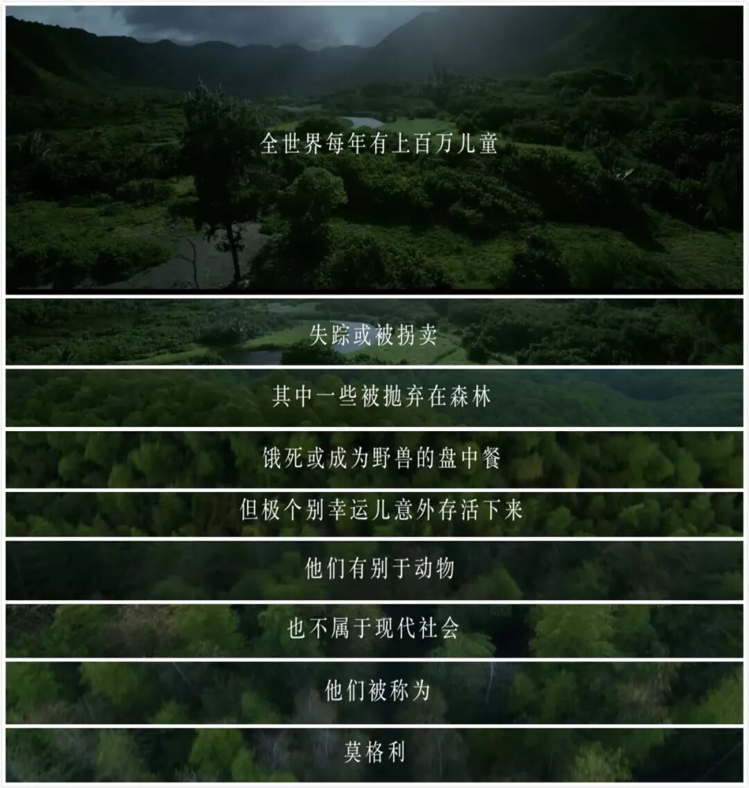 



杨紫都不管用，功能性配角加戏到底有多可怕
