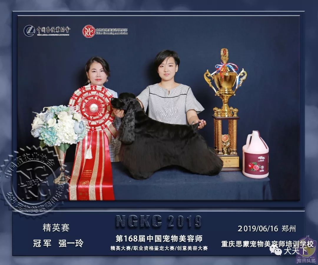 广州学美容哪个学校好_宠物学校培训价格表_北京宠物美容培训学校哪家好/