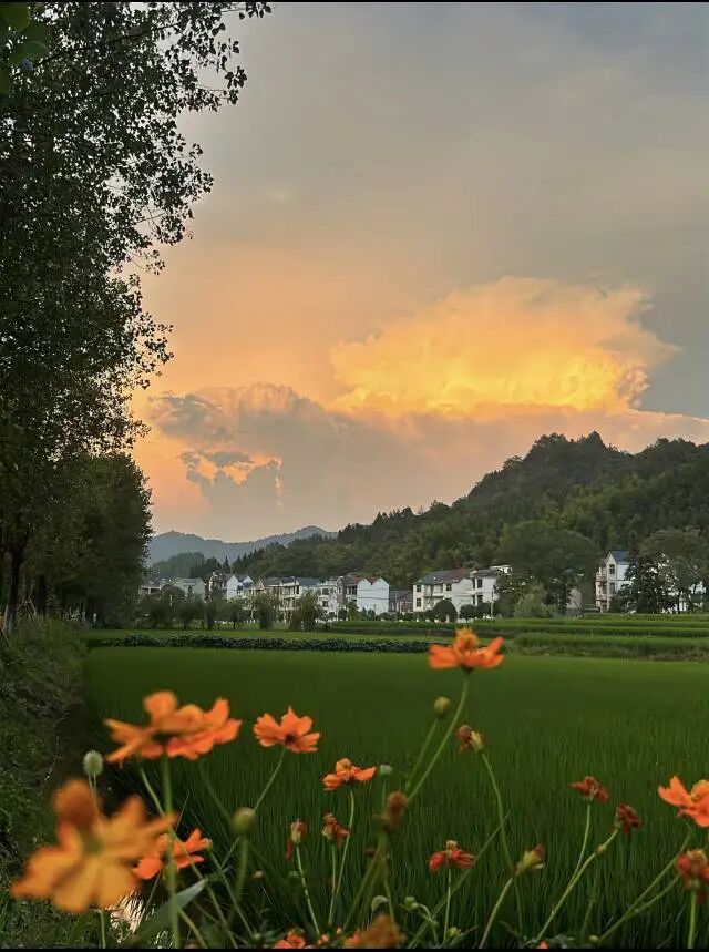 童话28456