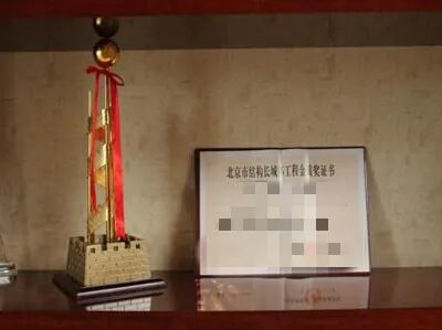 喜讯！承德城建全过程咨询项目获得国家级大奖啦！(图6)