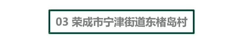 村庄借鉴优质规划经验材料范文_优秀村庄发展规划案例_借鉴优质村庄规划经验材料