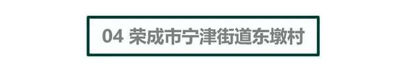 村庄借鉴优质规划经验材料范文_借鉴优质村庄规划经验材料_优秀村庄发展规划案例