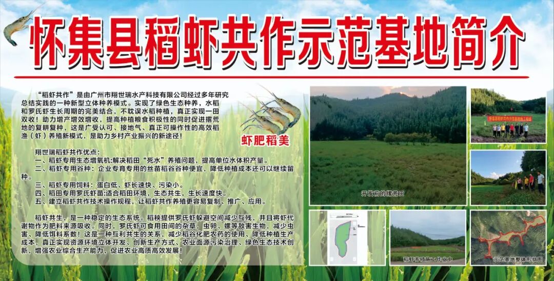 在全县推广"稻虾共作"模式,既保障水稻种植,又可实现绿色生态种养