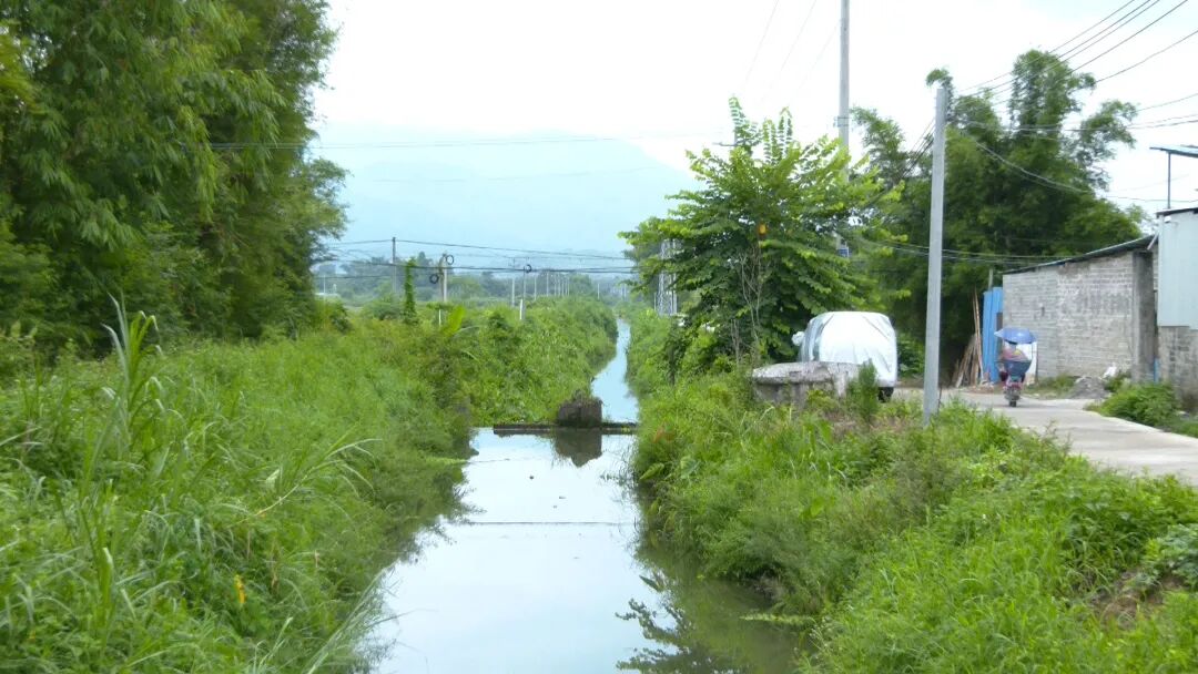 怀集马宁镇清淤疏浚解群众用水之困