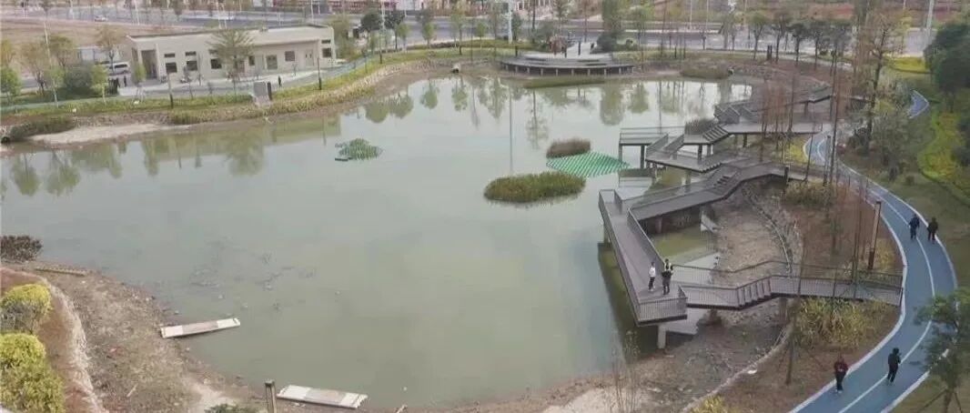 BD雾化器怎么样家用雾化器受追捧，选购要注意什么？医生提醒→_https://www.jmylbn.com_新闻资讯_第11张