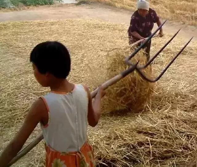 围观湖北很多70后80后90后喜欢拿这些事来吹牛