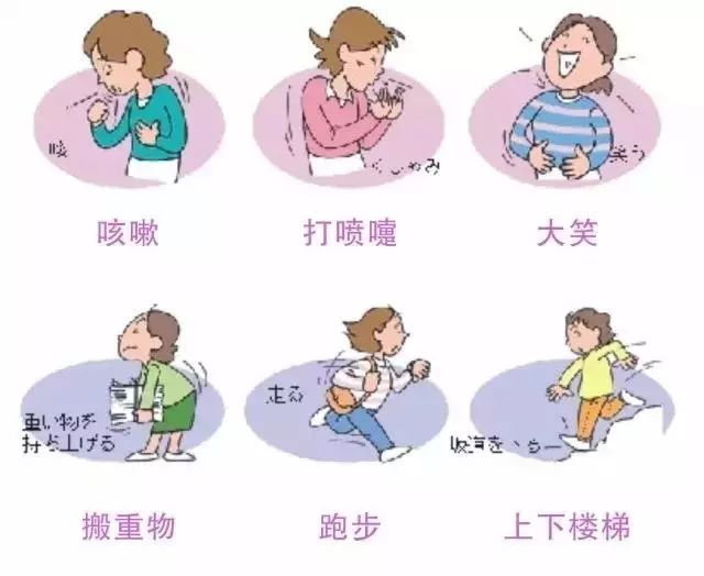 @所有人“盆底肌”是你的“幸福肌”